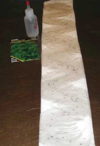 Easy Seed Planting Image